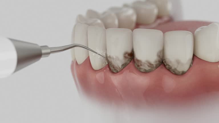 Reliable Dental contractor in Montgomery County County, MO by Dentist Open Now